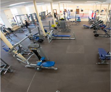 gallery-image-2